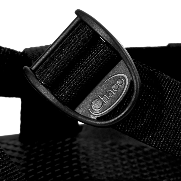 Z1 - Image 7